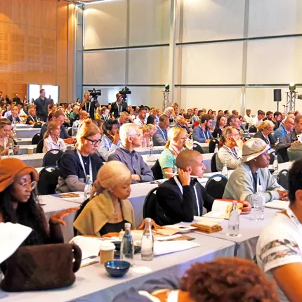 Review of the 13th WOOD Conference